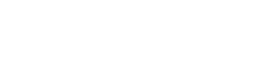 Pivvio